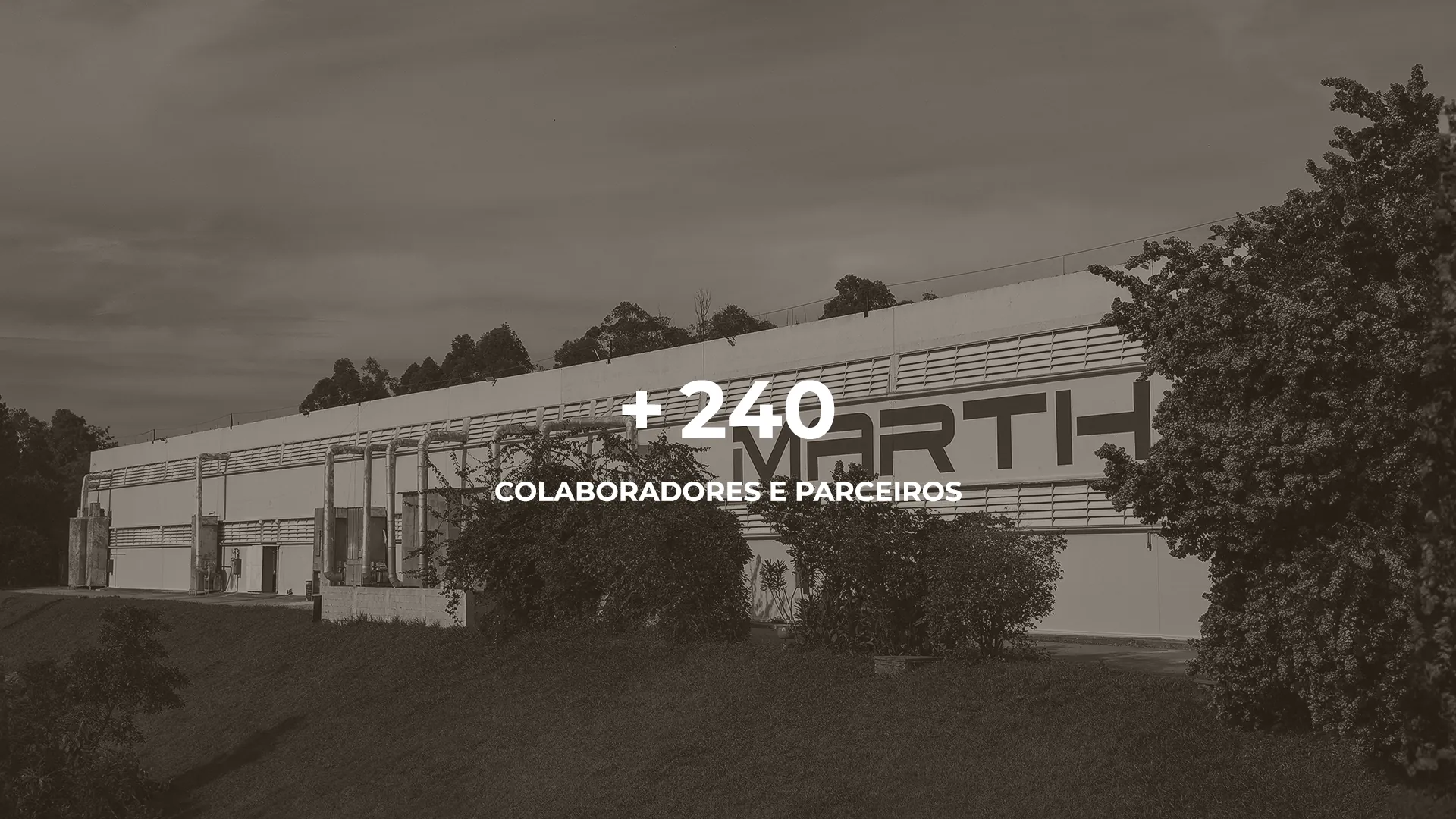 +240 colaboradores e parceiros